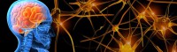/album/fotogaleria/cropped-banner-traumatismo-jpg/